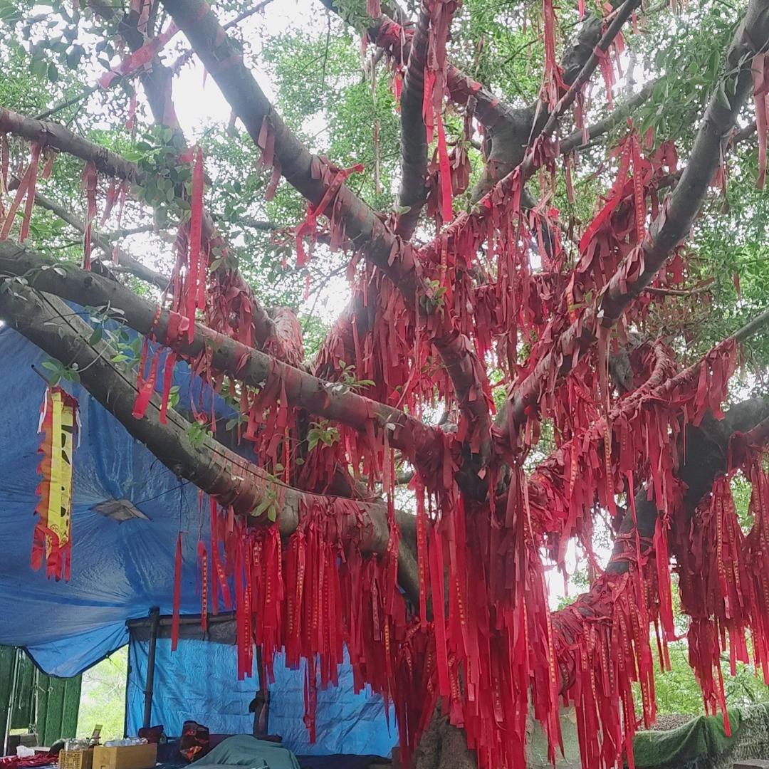 一生一世