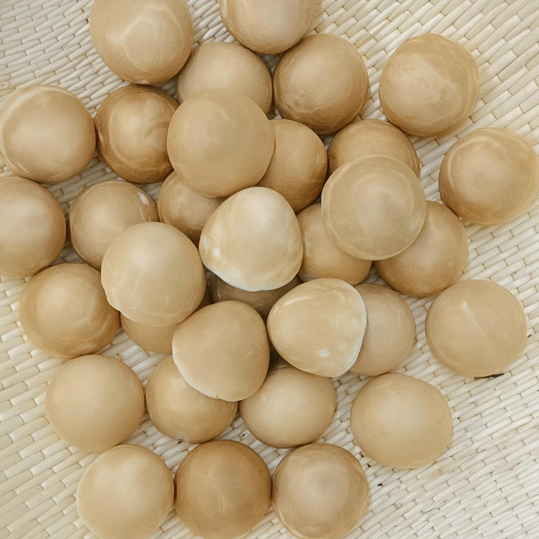 多肉花卷(西丽路店)官方号