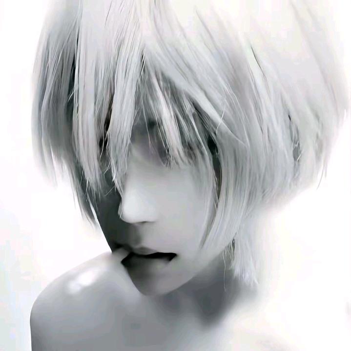 龙舌兰日出