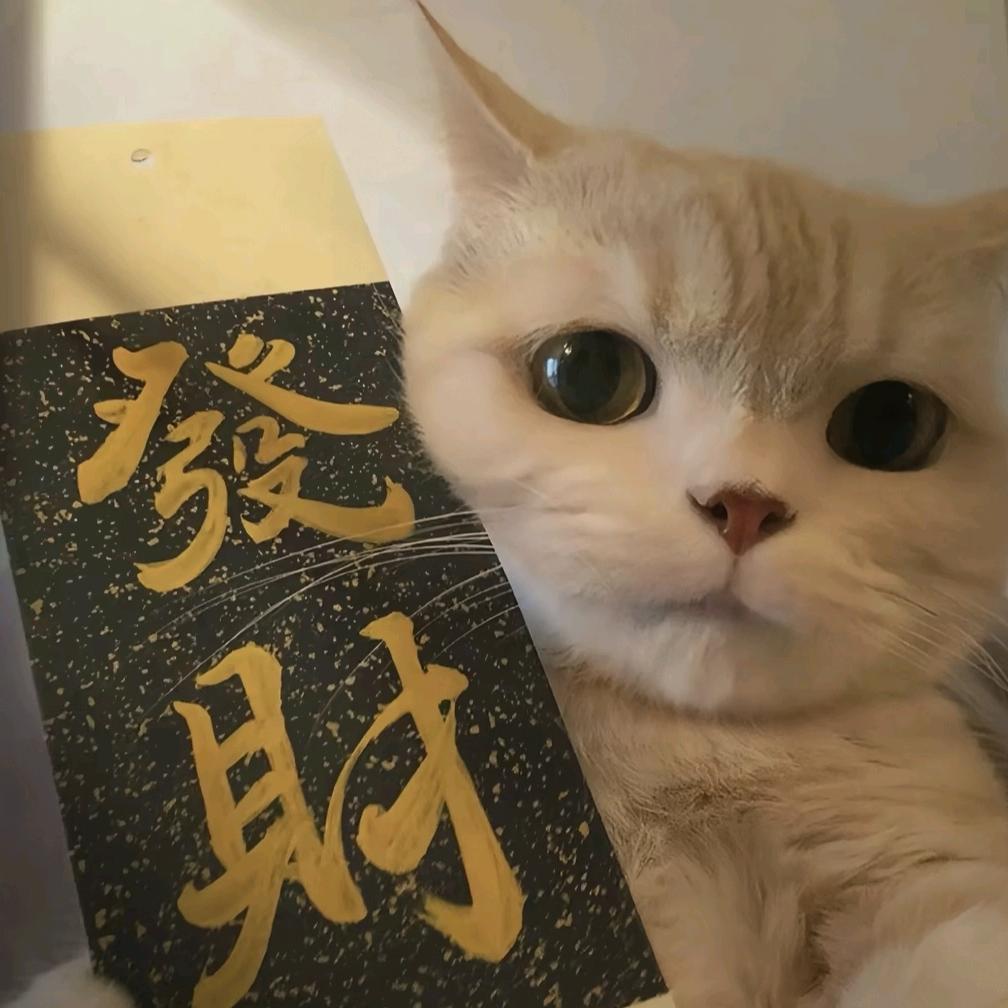 🕊꧔ꦿ᭄随心꧔
