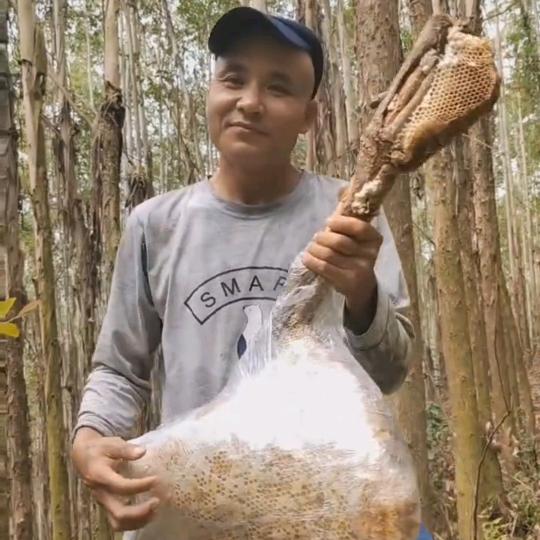 马疯哥