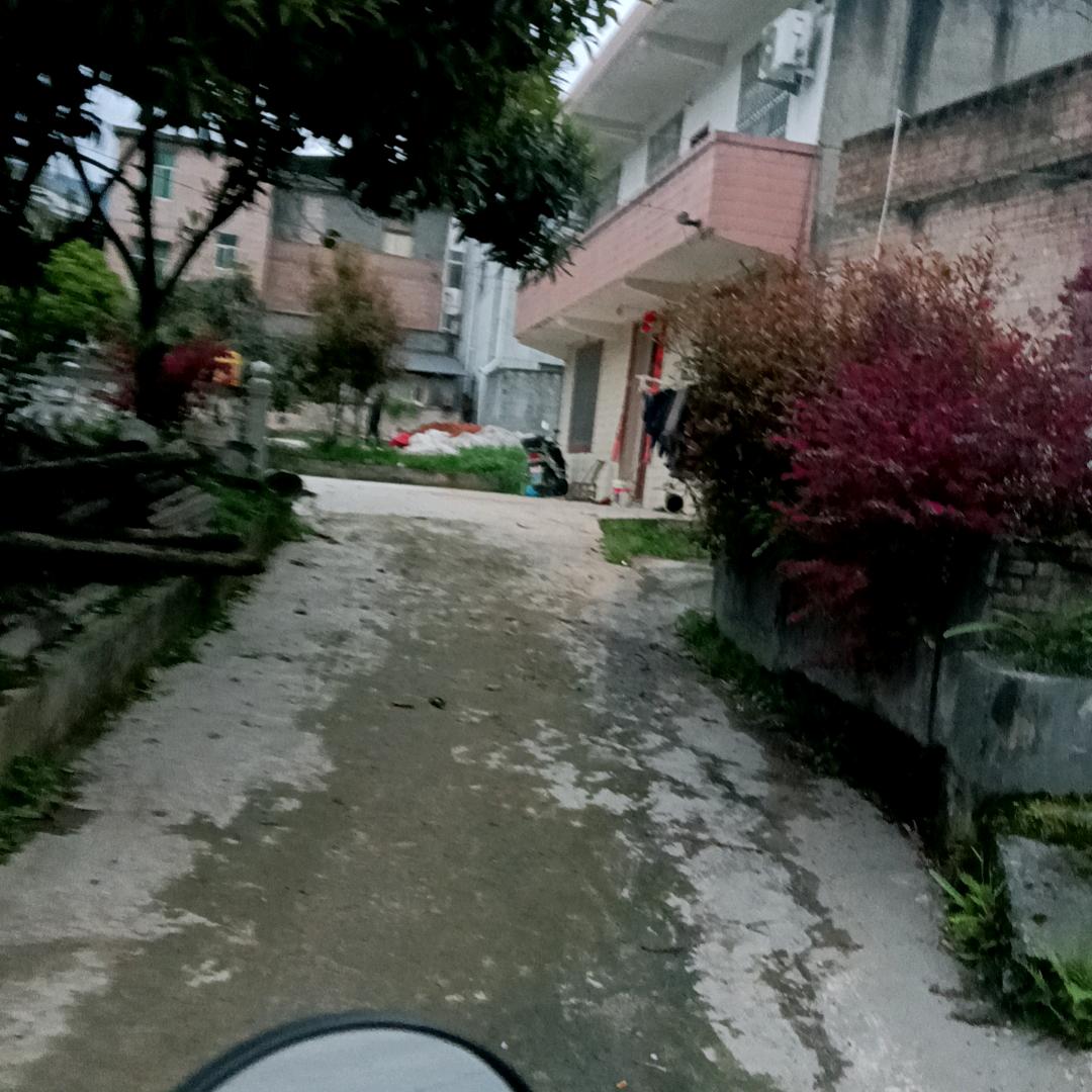 舒美才
