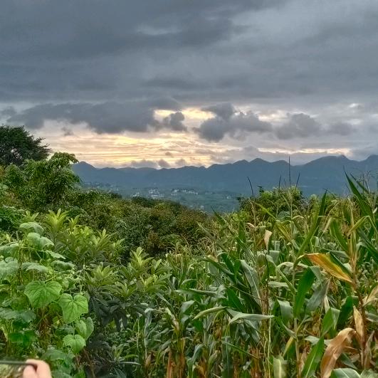 好心人。值得信赖