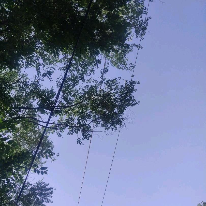 珍惜（🎈）