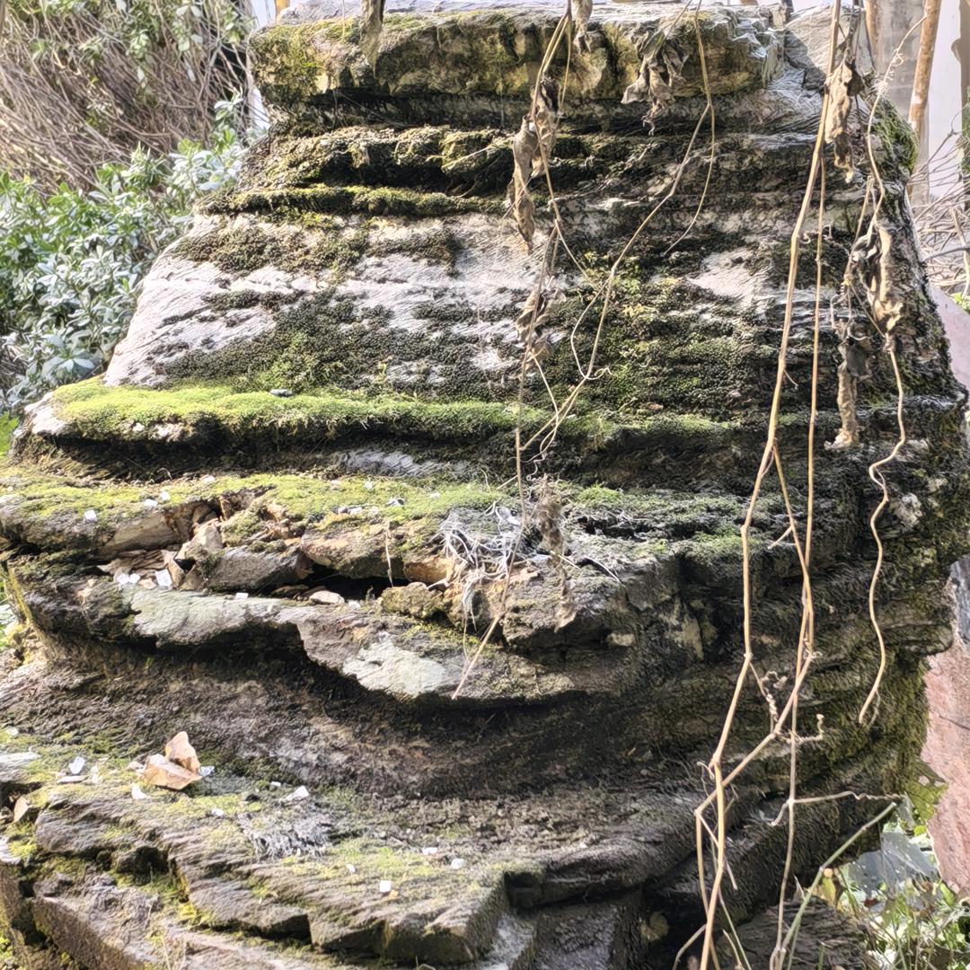 昨天，今天，明天。（刘）