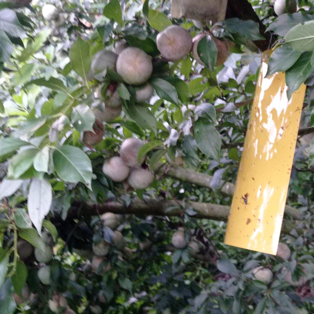 眼里都是你，不要连赞多谢