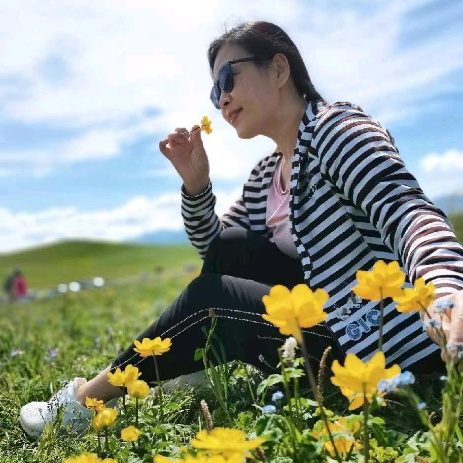 喵闪闪探盘
