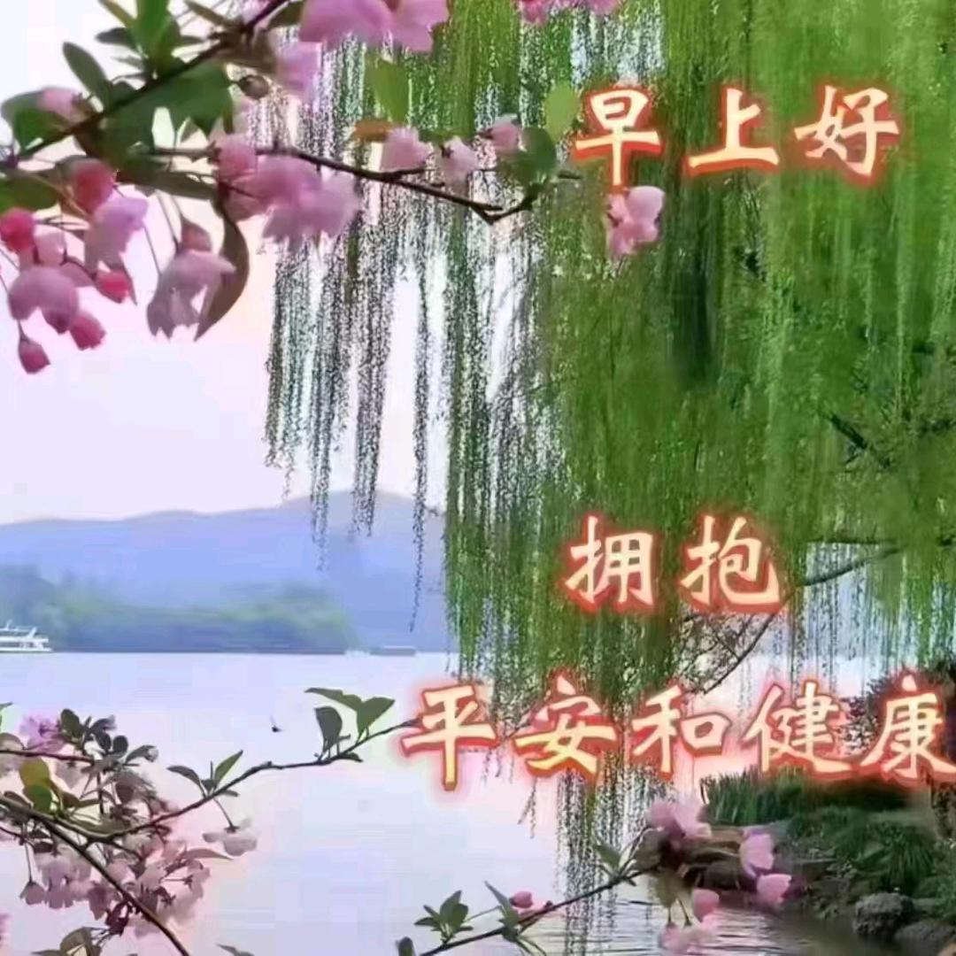 企交芳芳