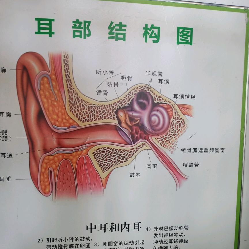 耳鼻护理