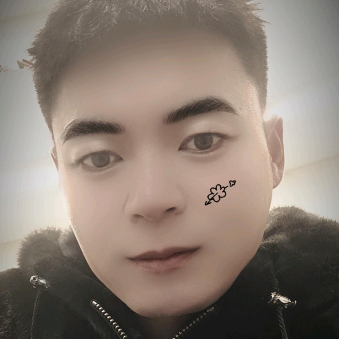 猪能上树