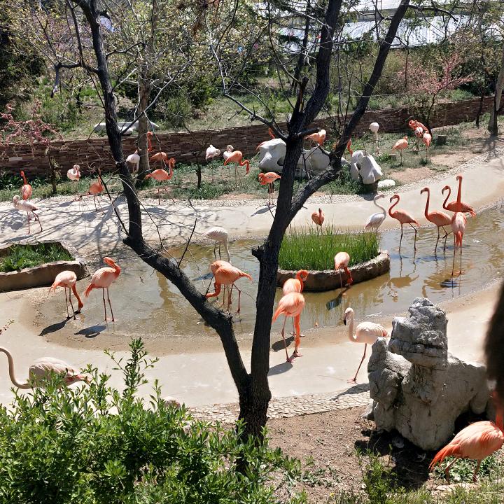 开心😊😊😊😊