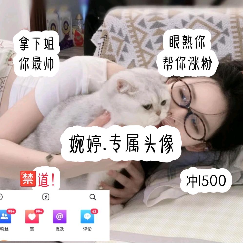 重回巅峰.婉婷