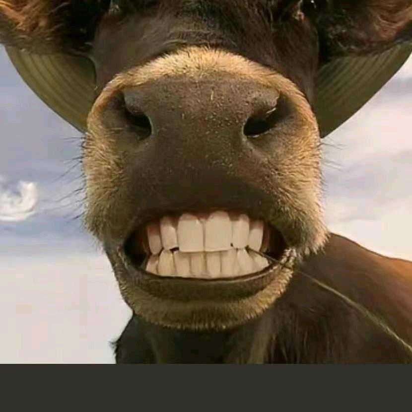 三头驴肉馆