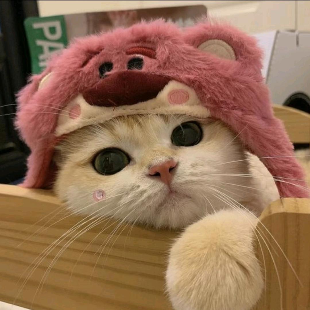 闪闪/.