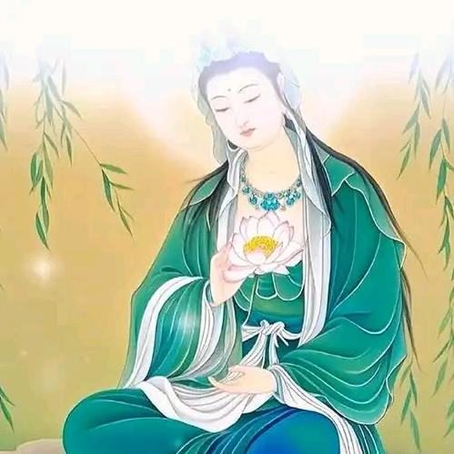 招财进宝