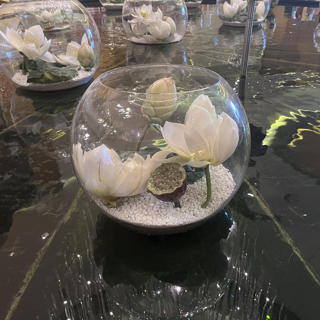 润物无声♀