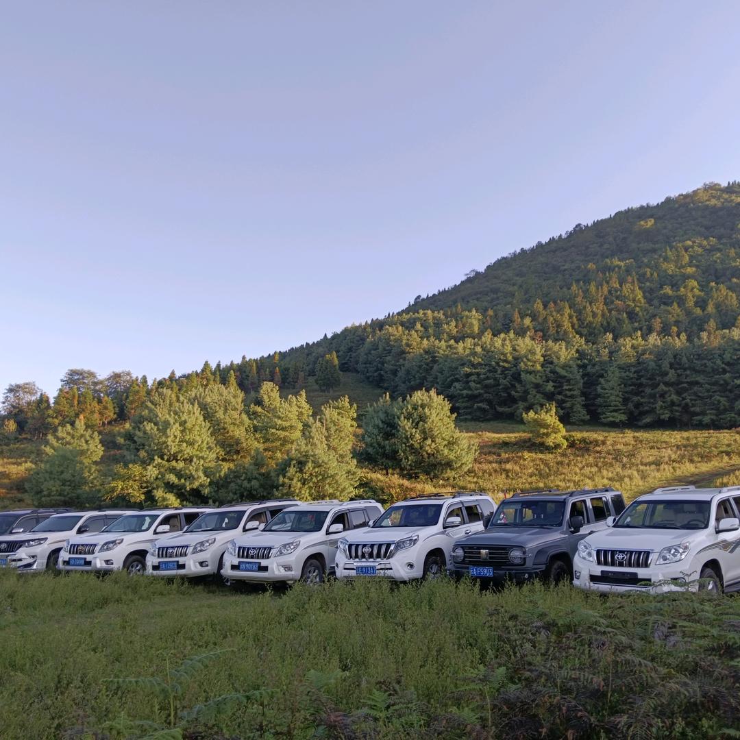 腾冲弘达二手车  杨