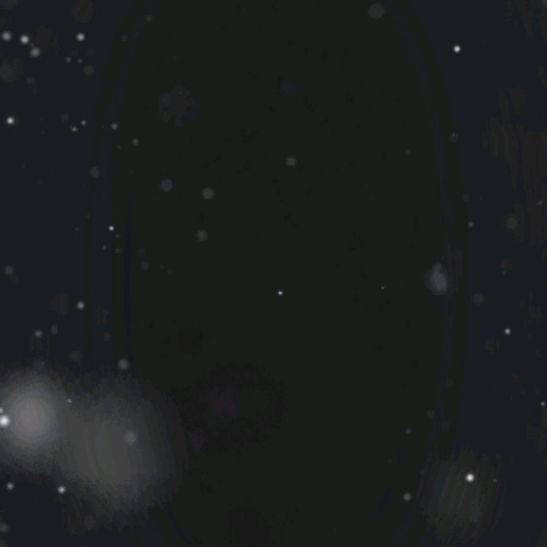 珍