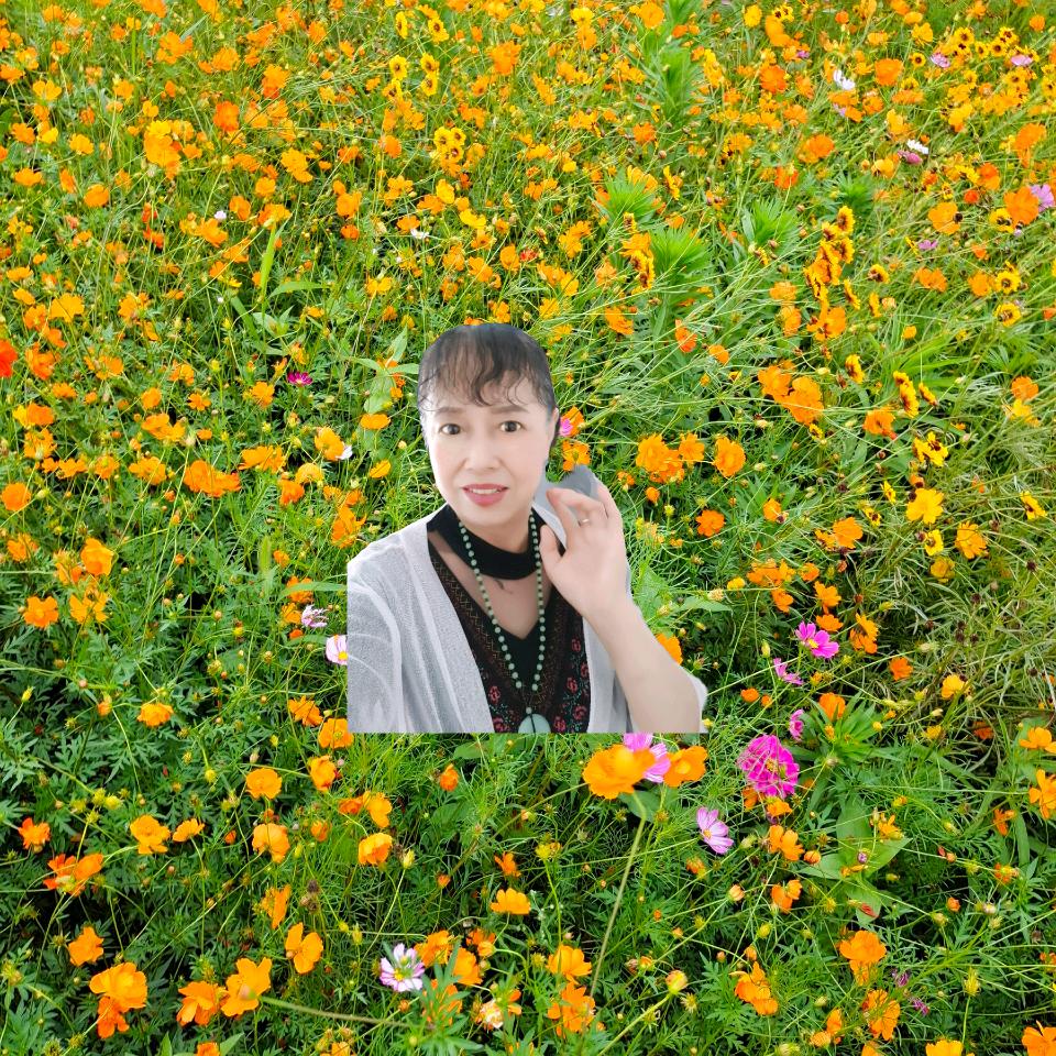 湖北兰