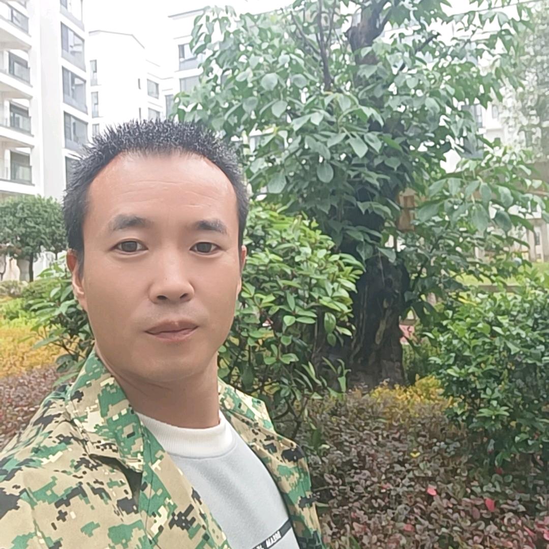 劉恋往返、金壁辉黄！