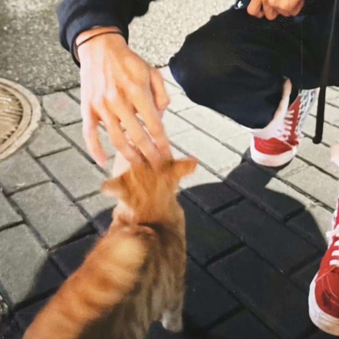 随便