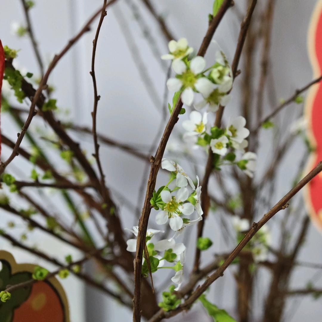 汐汐宝贝《橱窗有好物》