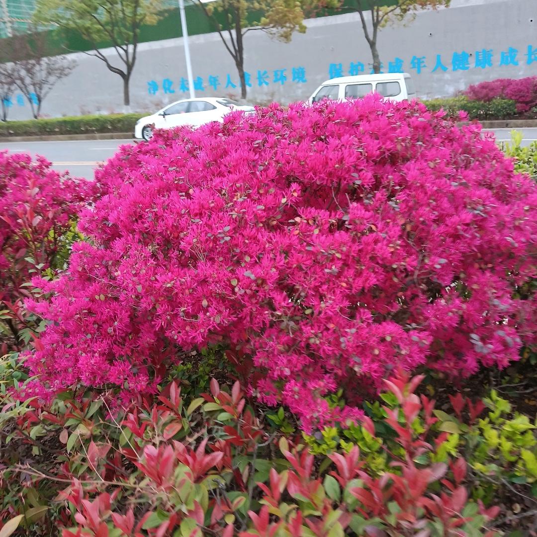 梦如潮汐