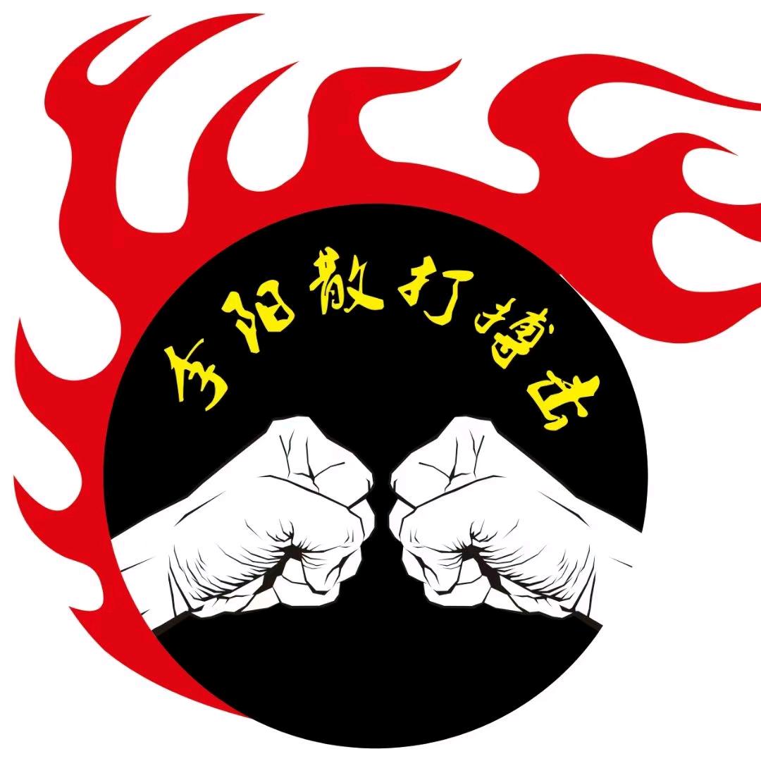 李阳散打搏击