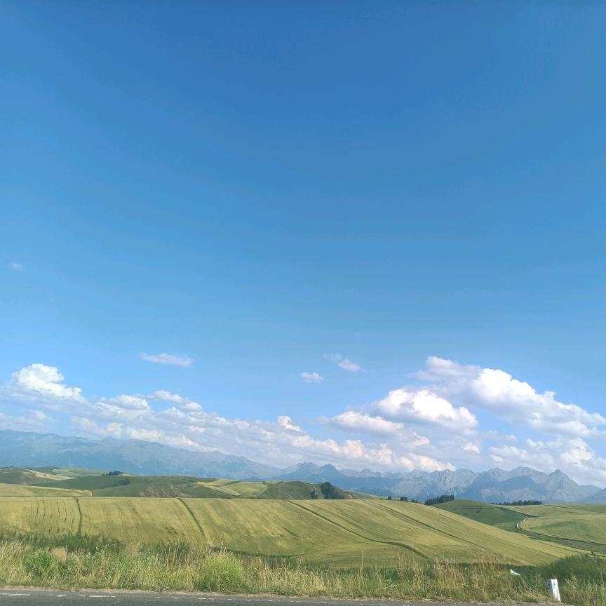 豫见