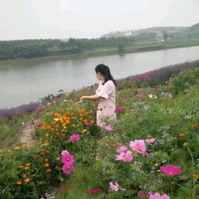 快乐鱼🐟🐟