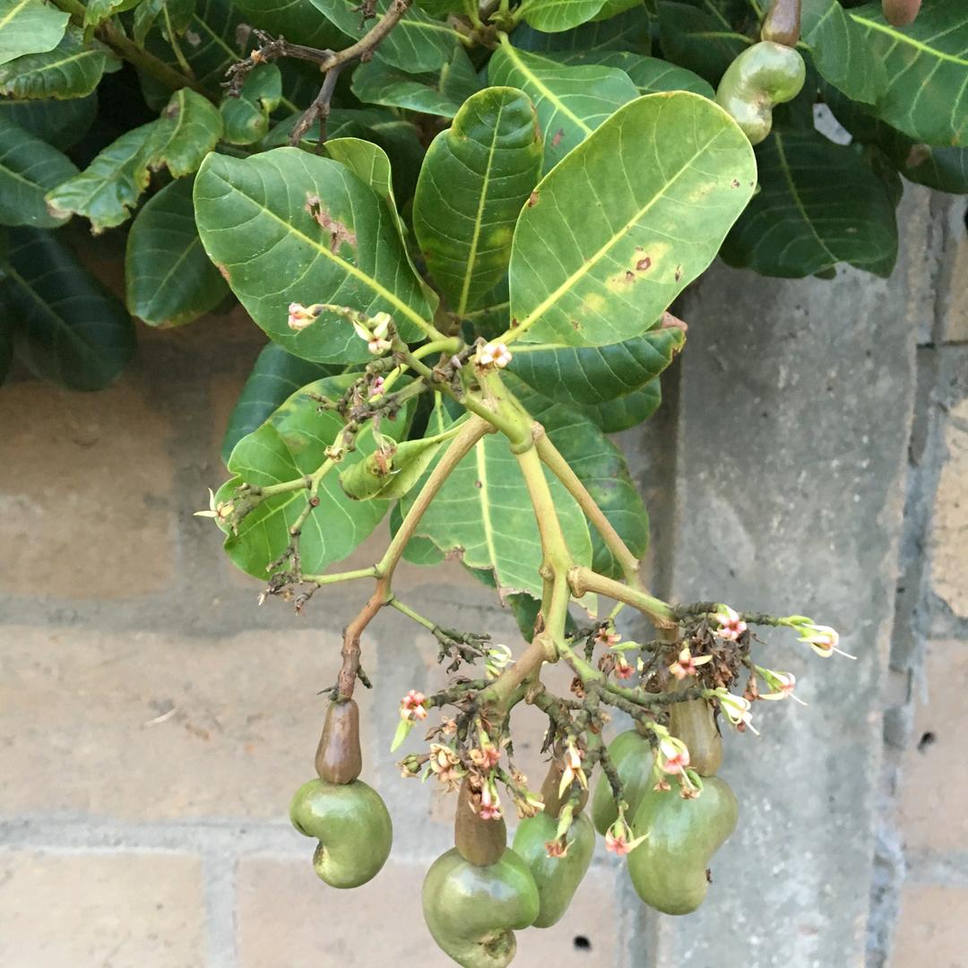 🚬 🥀⃟默༒言ഒᩚ࿐