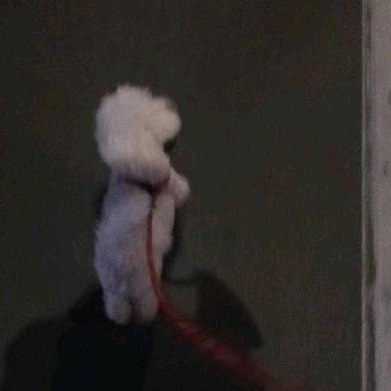 yk