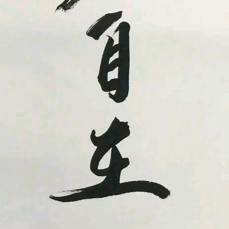 自在的小杨