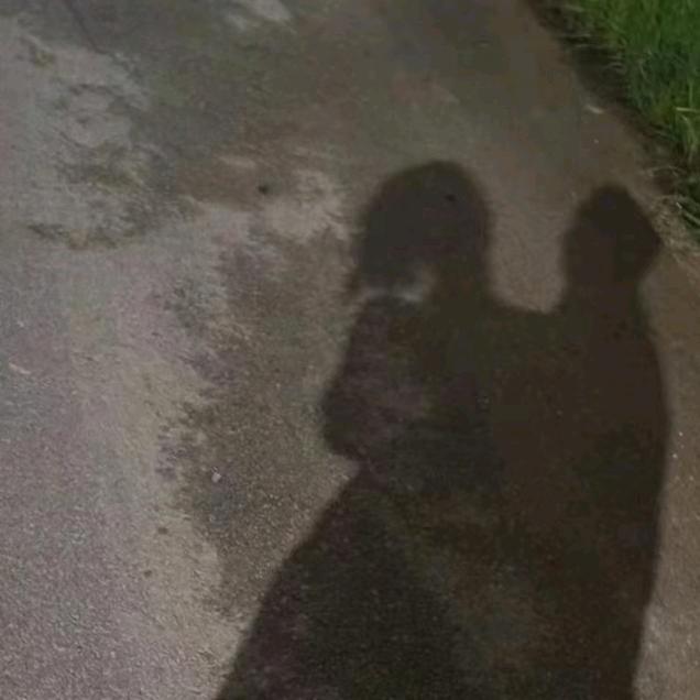 记伱壹陈，二哥