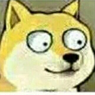 瞪大狗眼看世界