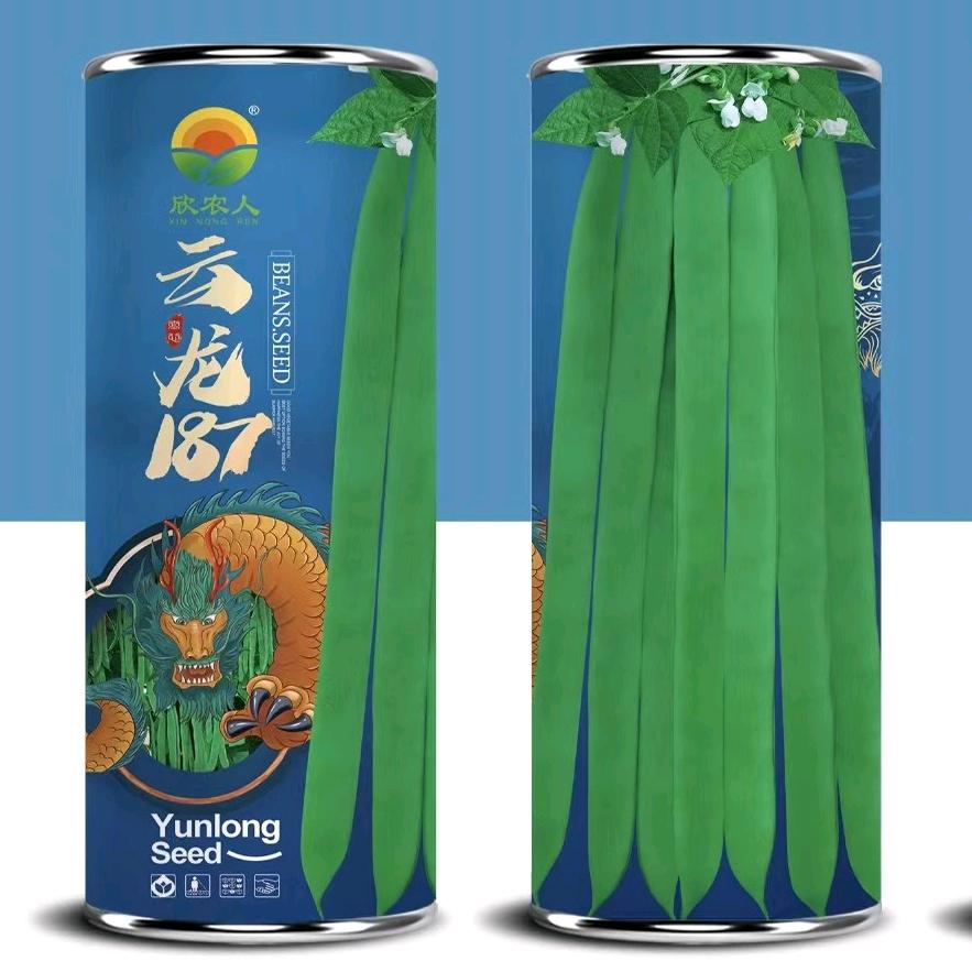 云龙187