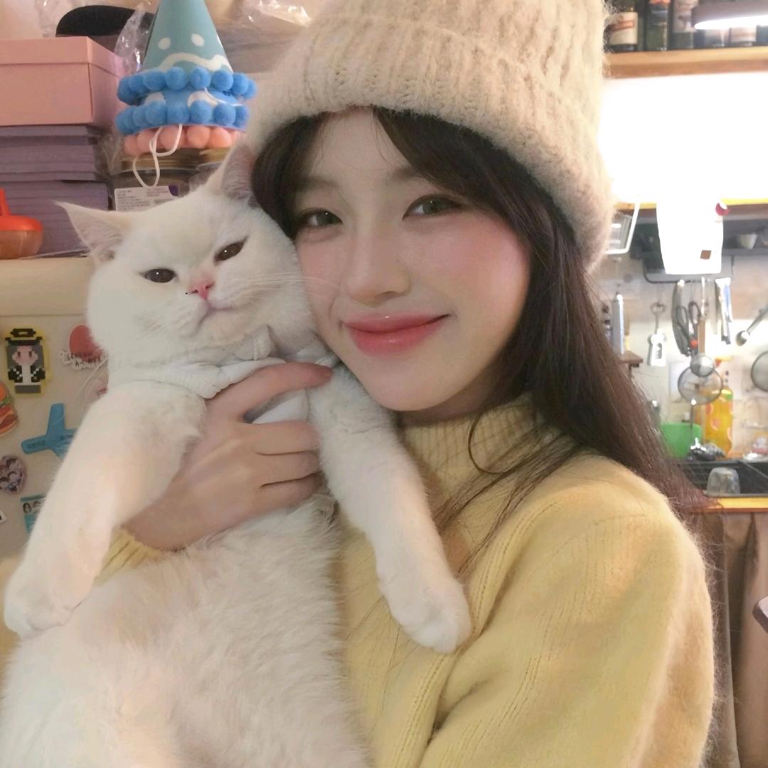 好好好想睡觉💤