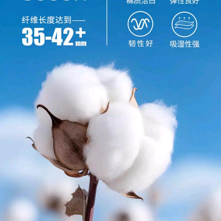 靓姐制衣