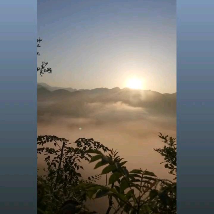 蒋水坪果园小周