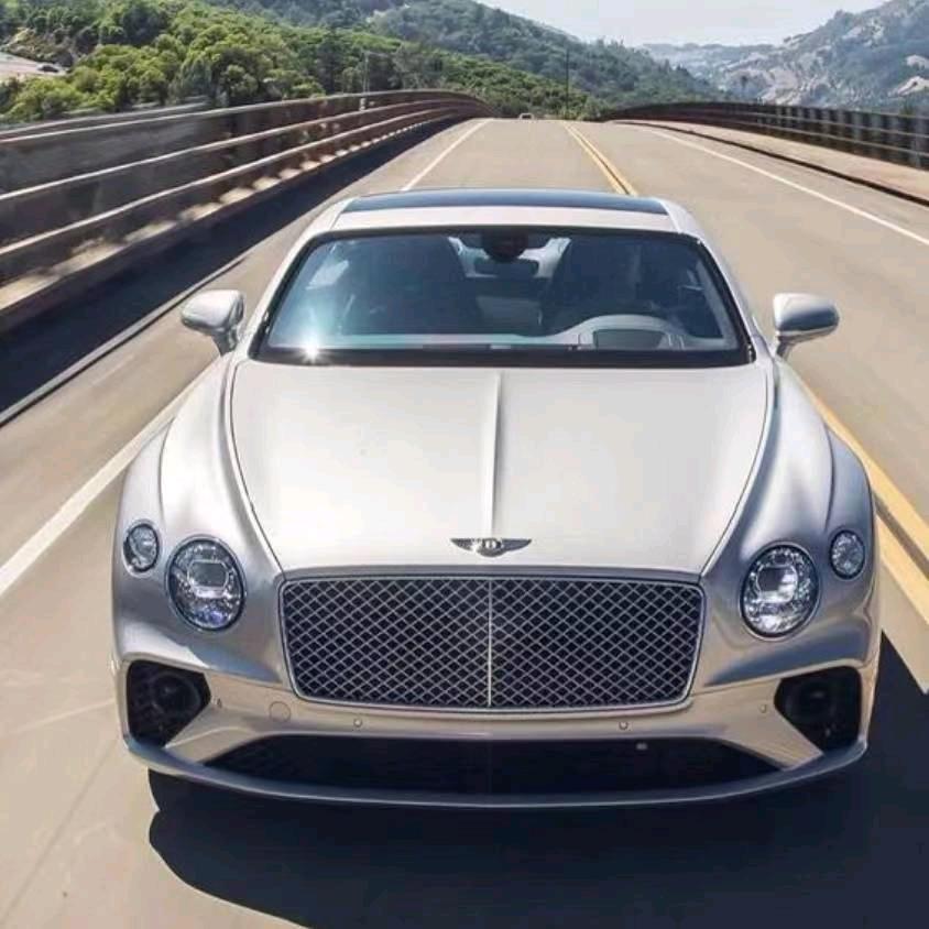 泽隆TPO防水、PVC防水材料、自粘胶膜