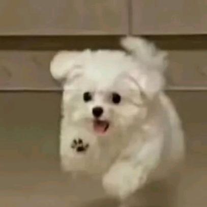 噶几噶几