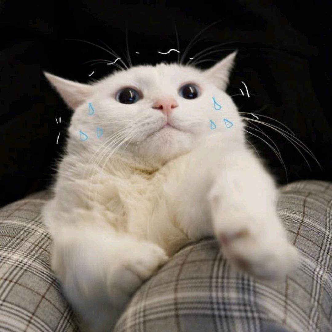 陳
