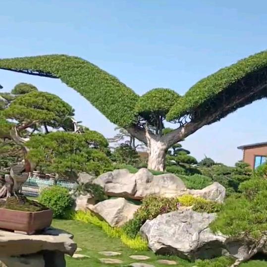 “舍”“得”
