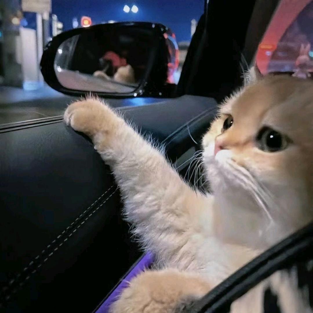 。。