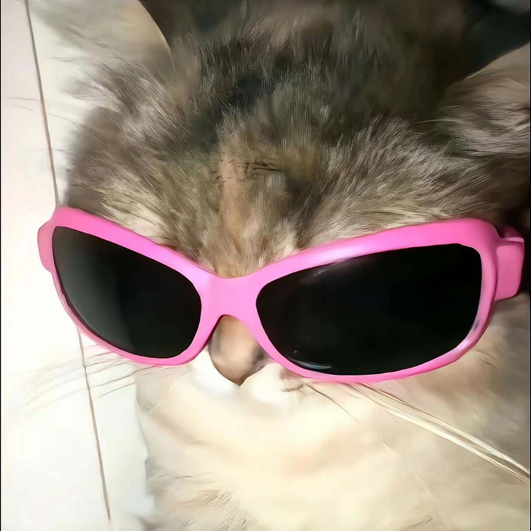 白玉