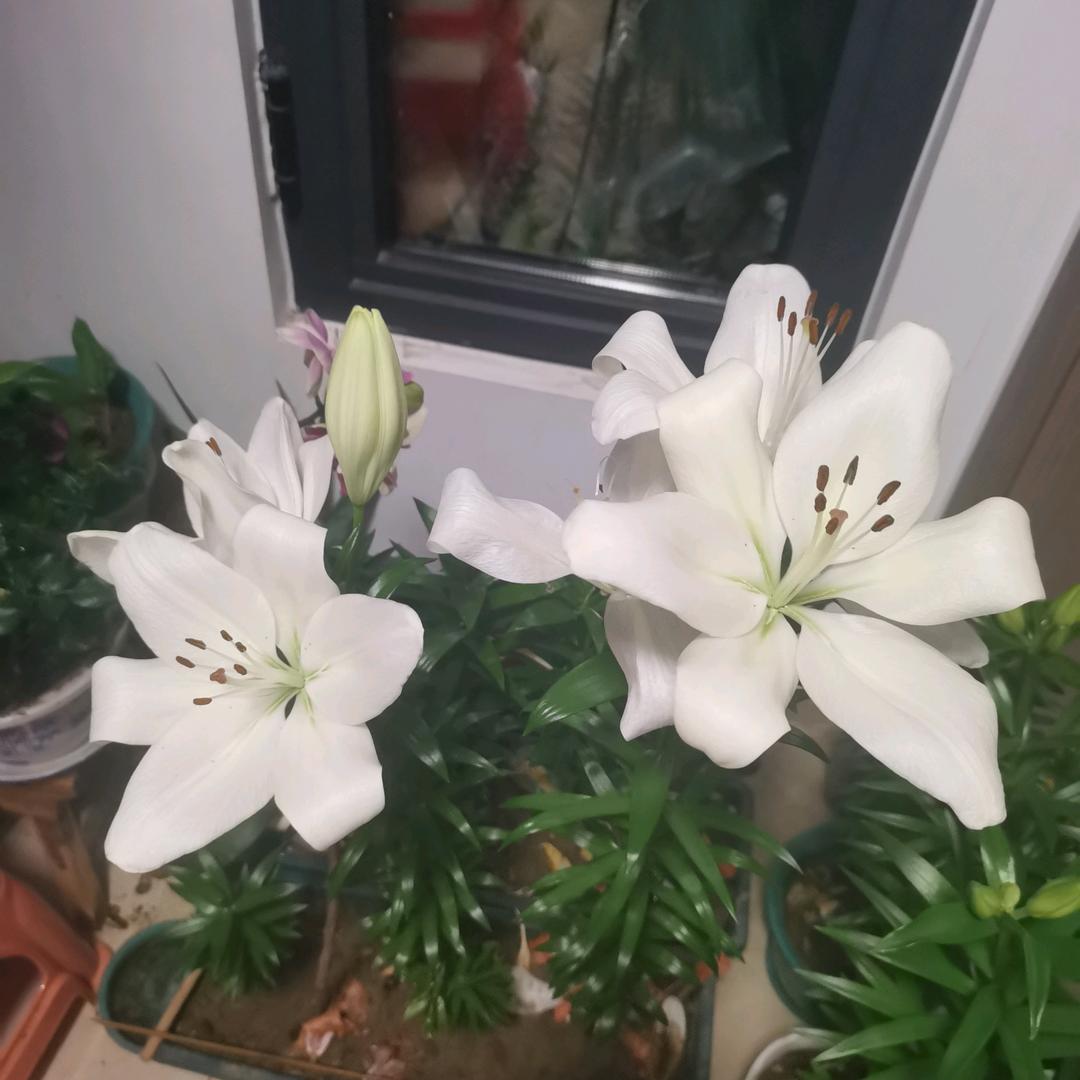 越来越好