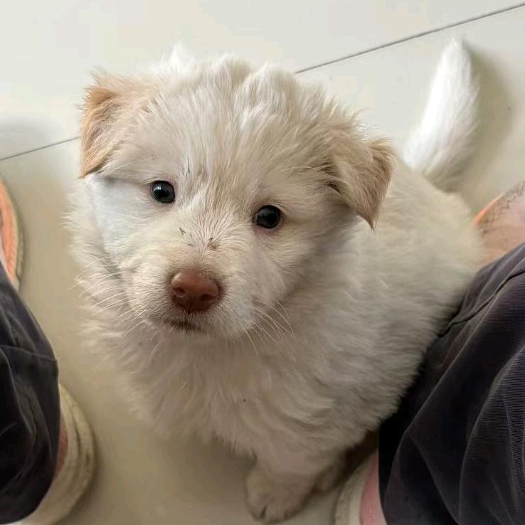 偷我外卖的嘴巴里都有屎