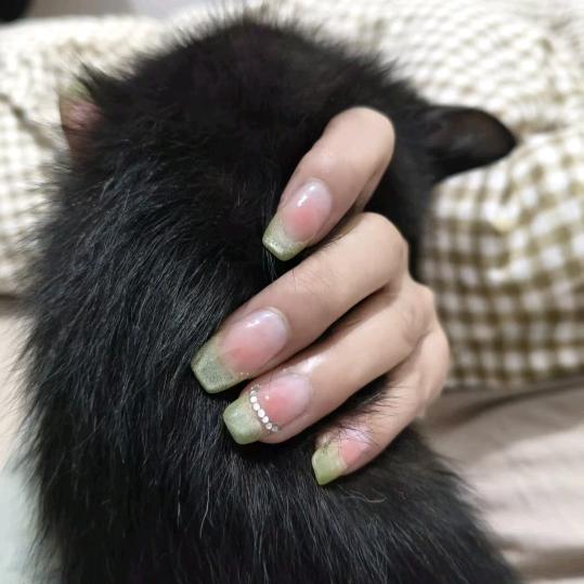 妍妍ⅶ