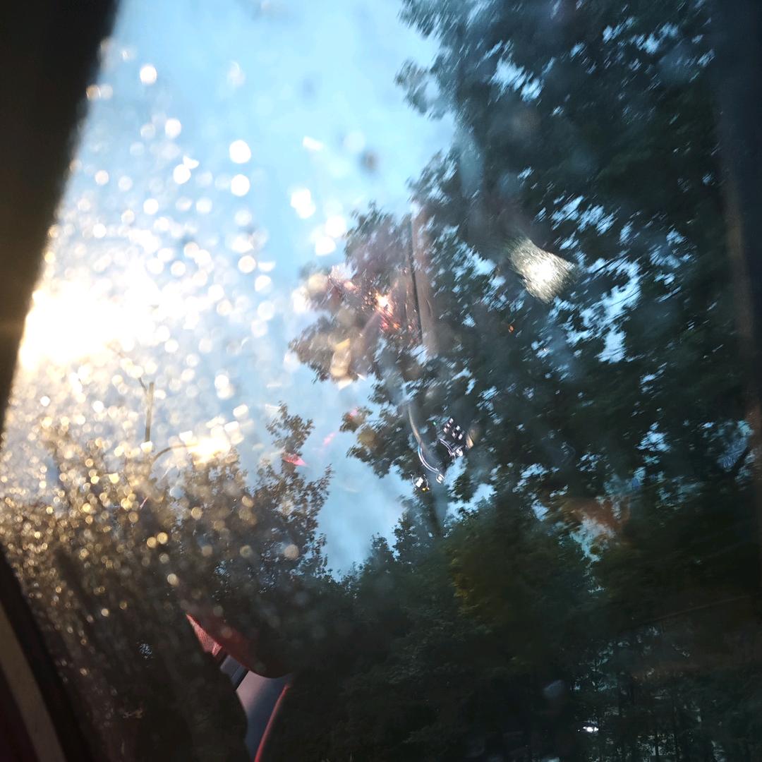 Despair淡漠