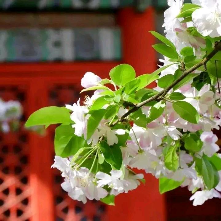优点与你相伴